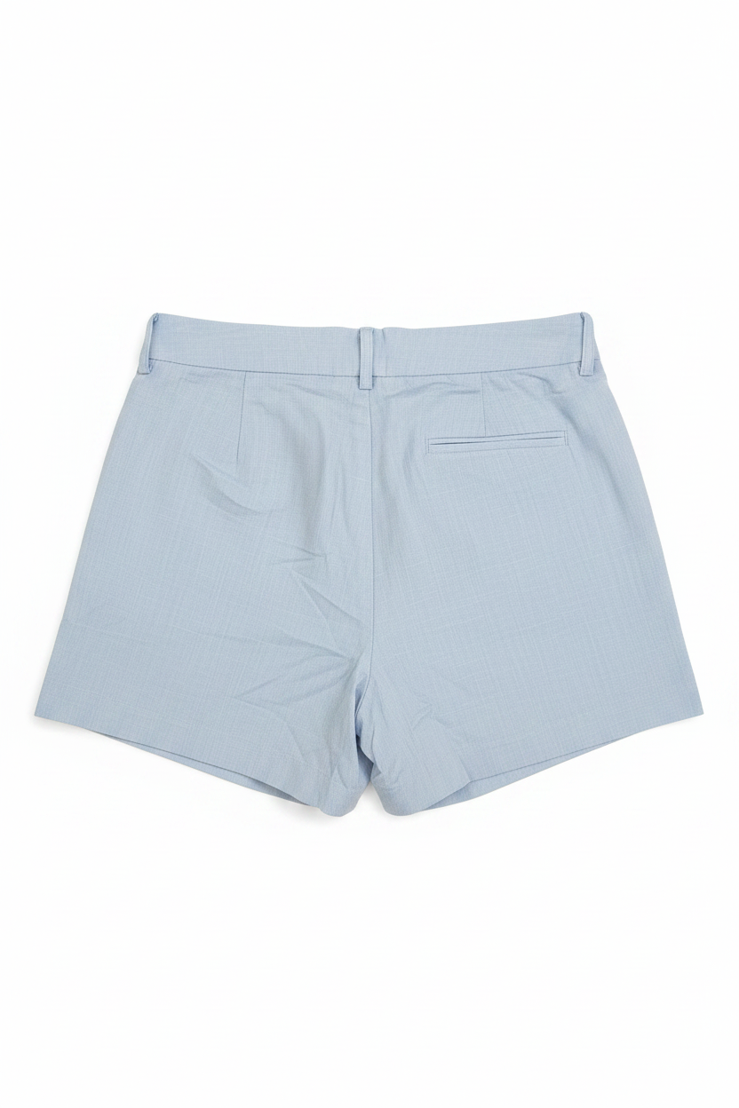 Light Blue Pinstripe Shorts with Back Flap